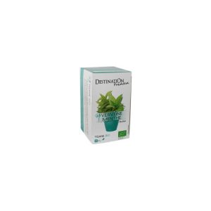 Destination INFUSION MENTHE POIVREE (20X1,6g)