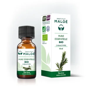 Huile essentielle Arbre à thé (BIO)